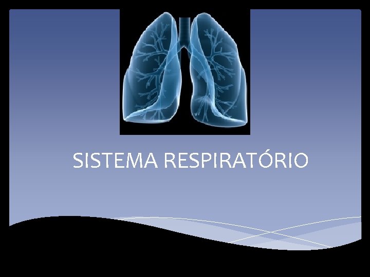 SISTEMA RESPIRATÓRIO 