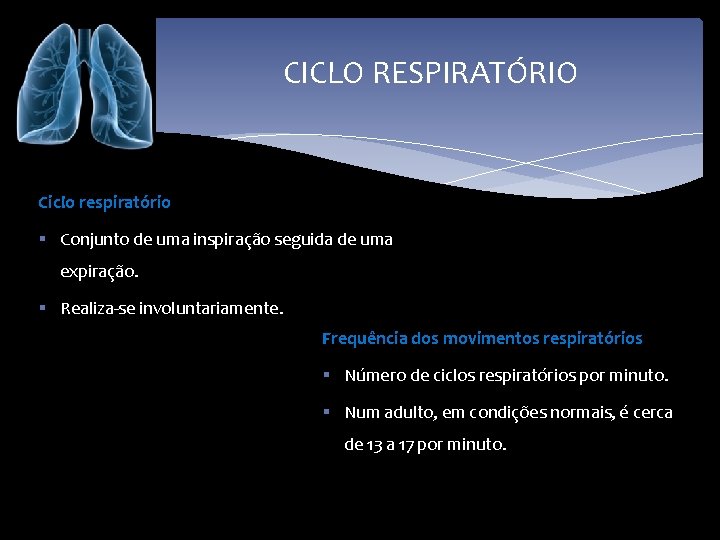 CICLO RESPIRATÓRIO Ciclo respiratório § Conjunto de uma inspiração seguida de uma expiração. §