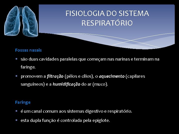FISIOLOGIA DO SISTEMA RESPIRATÓRIO Fossas nasais § são duas cavidades paralelas que começam nas