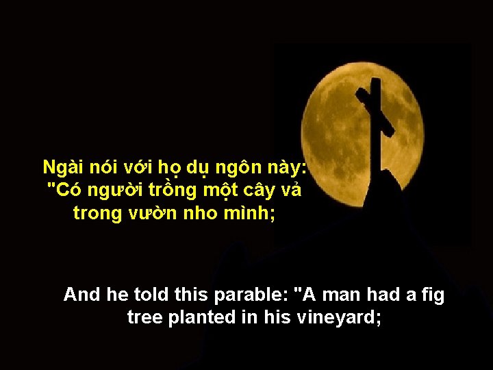 Ngài nói với họ dụ ngôn này: "Có người trồng một cây vả trong