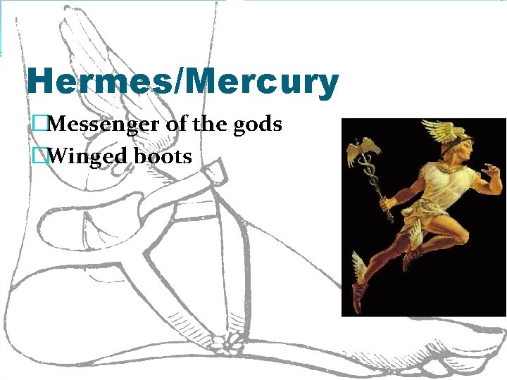 Hermes/Mercury �Messenger of the gods �Winged boots 