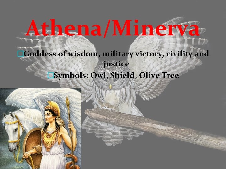 Athena/Minerva �Goddess of wisdom, military victory, civility and justice �Symbols: Owl, Shield, Olive Tree