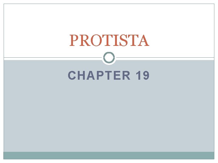 PROTISTA CHAPTER 19 