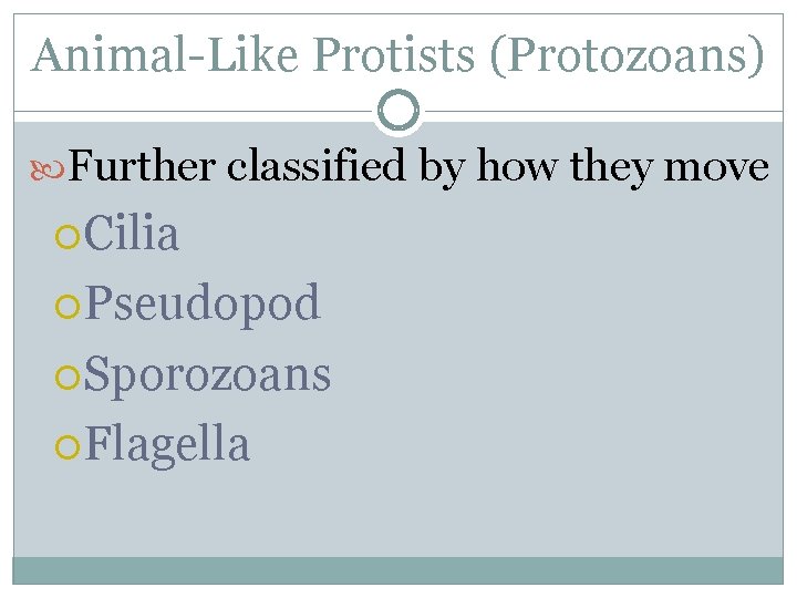 Animal-Like Protists (Protozoans) Further classified by how they move Cilia Pseudopod Sporozoans Flagella 