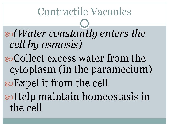 Contractile Vacuoles (Water constantly enters the cell by osmosis) Collect excess water from the