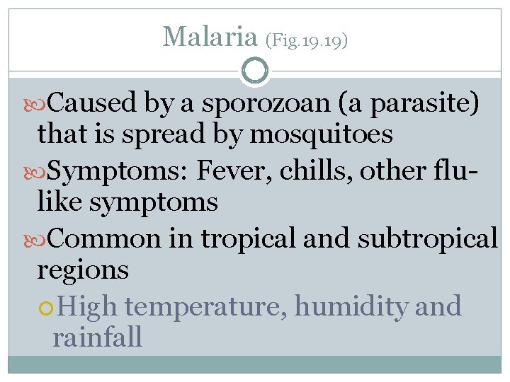 Malaria (Fig. 19) Caused by a sporozoan (a parasite) that is spread by mosquitoes