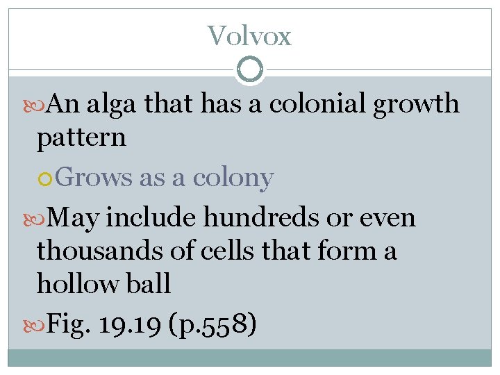 Volvox An alga that has a colonial growth pattern Grows as a colony May