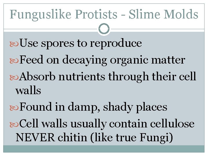 Funguslike Protists - Slime Molds Use spores to reproduce Feed on decaying organic matter