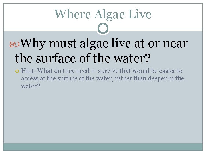 Where Algae Live Why must algae live at or near the surface of the