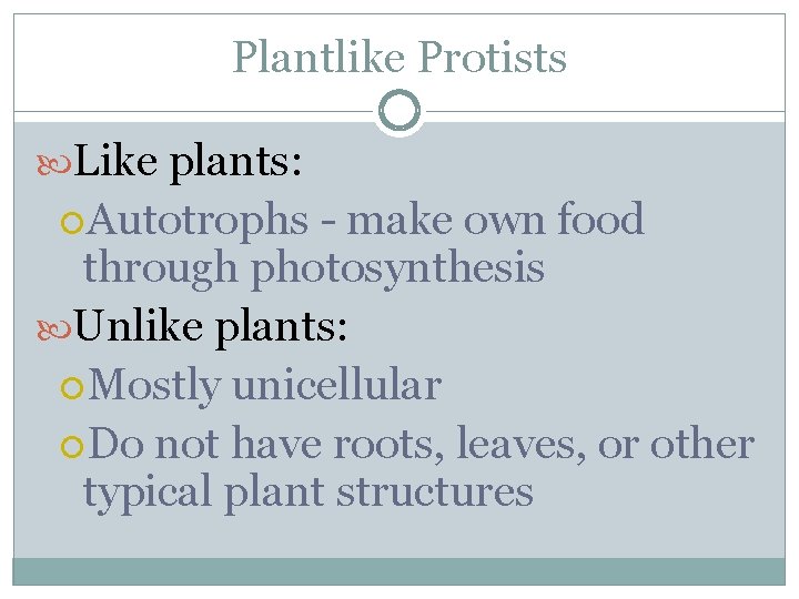 Plantlike Protists Like plants: Autotrophs - make own food through photosynthesis Unlike plants: Mostly