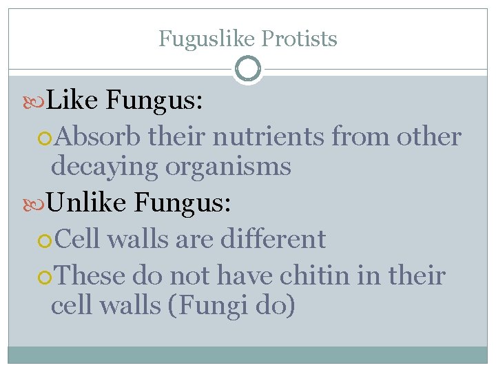 Fuguslike Protists Like Fungus: Absorb their nutrients from other decaying organisms Unlike Fungus: Cell