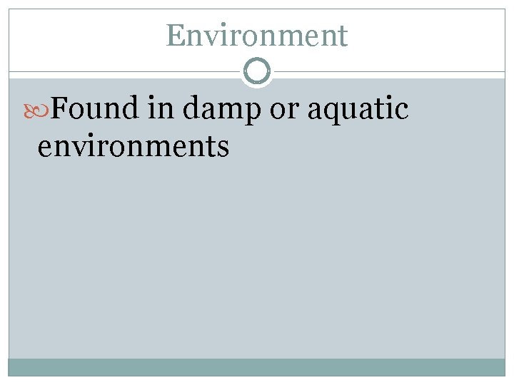 Environment Found in damp or aquatic environments 