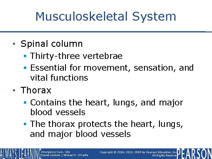 Musculoskeletal System • Spinal column § Thirty-three vertebrae § Essential for movement, sensation, and