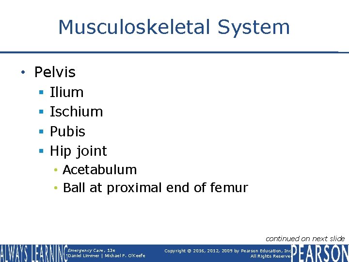 Musculoskeletal System • Pelvis § § Ilium Ischium Pubis Hip joint • Acetabulum •