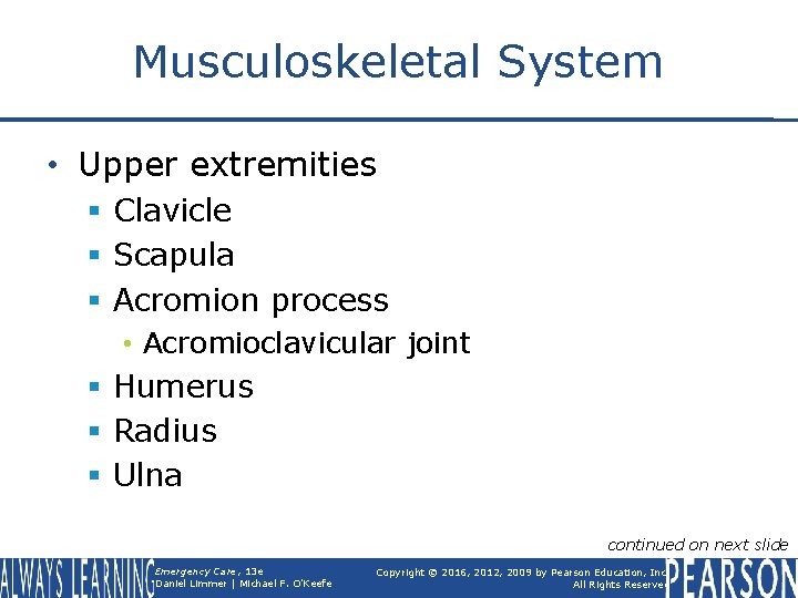 Musculoskeletal System • Upper extremities § Clavicle § Scapula § Acromion process • Acromioclavicular
