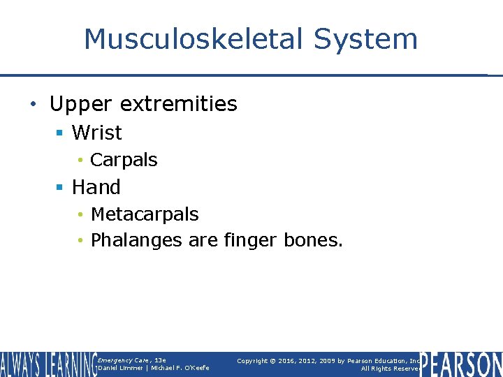 Musculoskeletal System • Upper extremities § Wrist • Carpals § Hand • Metacarpals •