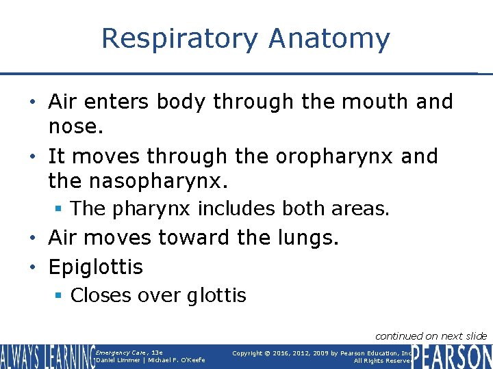 Respiratory Anatomy • Air enters body through the mouth and nose. • It moves
