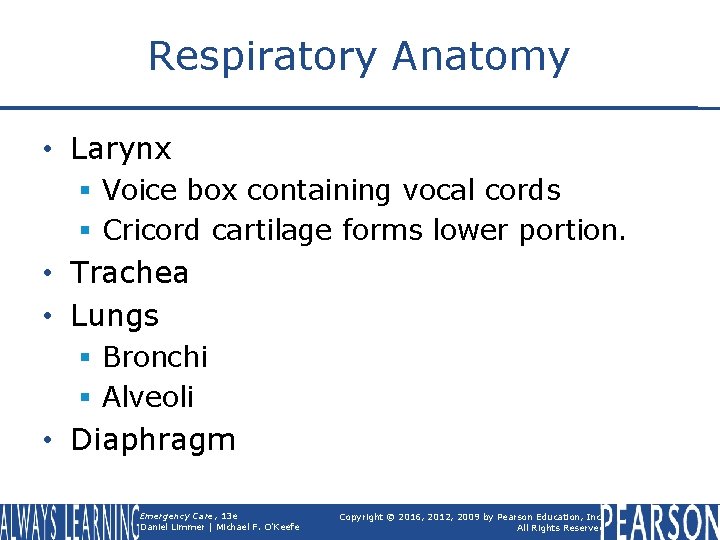 Respiratory Anatomy • Larynx § Voice box containing vocal cords § Cricord cartilage forms