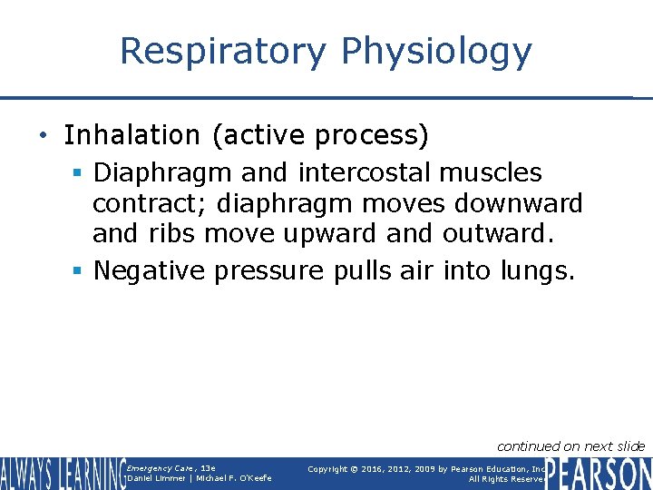 Respiratory Physiology • Inhalation (active process) § Diaphragm and intercostal muscles contract; diaphragm moves
