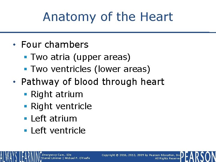 Anatomy of the Heart • Four chambers § Two atria (upper areas) § Two