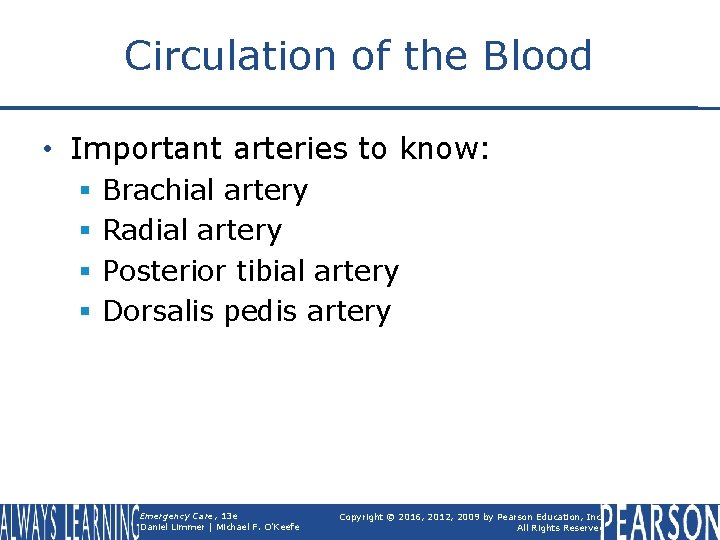 Circulation of the Blood • Important arteries to know: § § Brachial artery Radial
