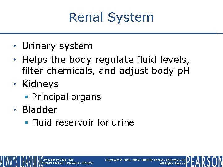 Renal System • Urinary system • Helps the body regulate fluid levels, filter chemicals,