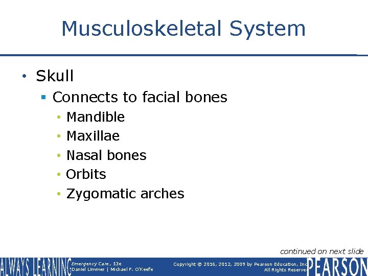 Musculoskeletal System • Skull § Connects to facial bones • • • Mandible Maxillae