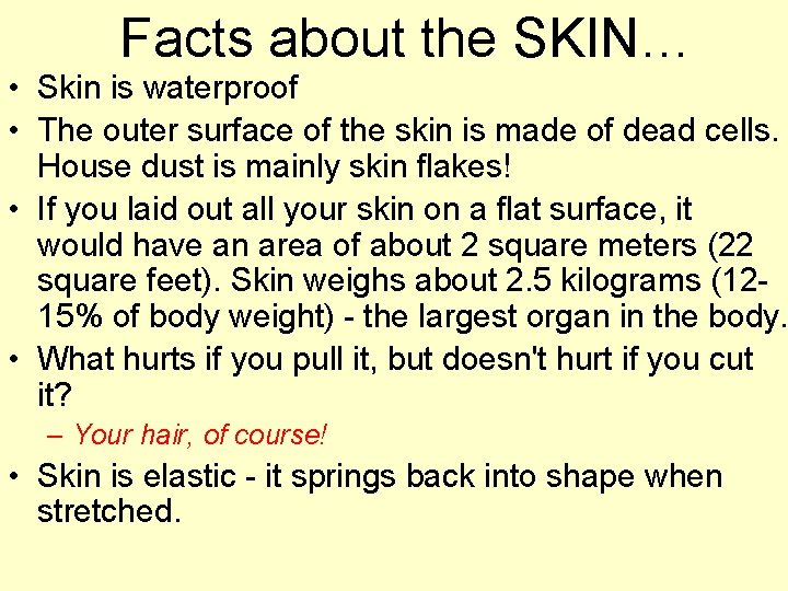 Facts about the SKIN… • Skin is waterproof • The outer surface of the