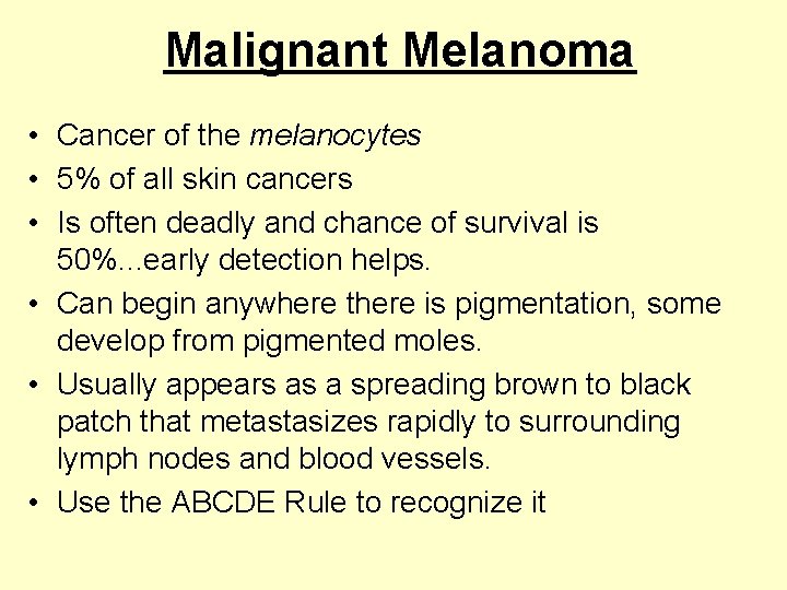 Malignant Melanoma • Cancer of the melanocytes • 5% of all skin cancers •