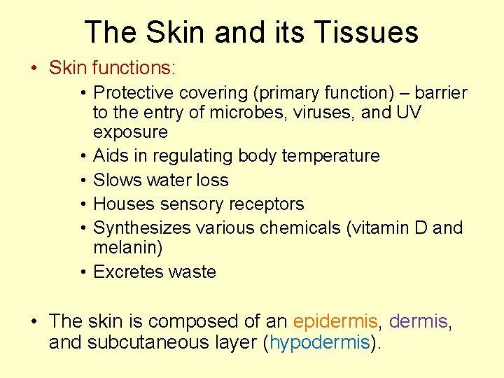 The Skin and its Tissues • Skin functions: • Protective covering (primary function) –