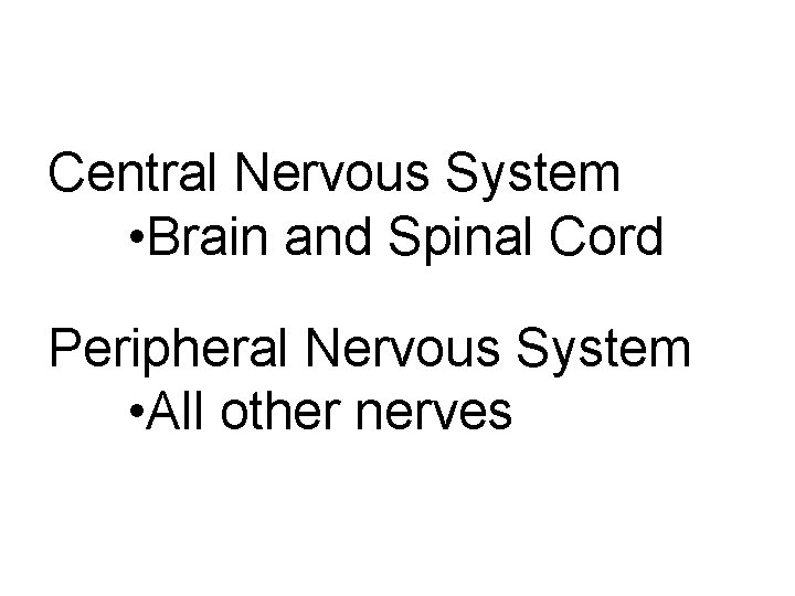 Central Nervous System • Brain and Spinal Cord Peripheral Nervous System • All other