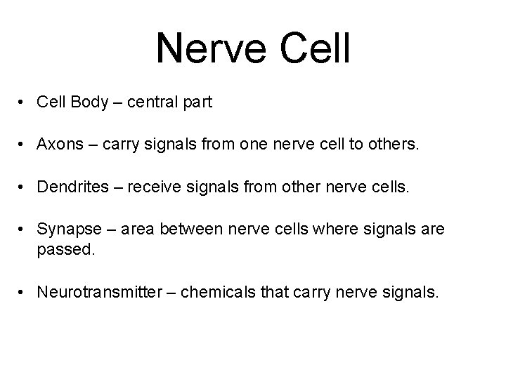 Nerve Cell • Cell Body – central part • Axons – carry signals from