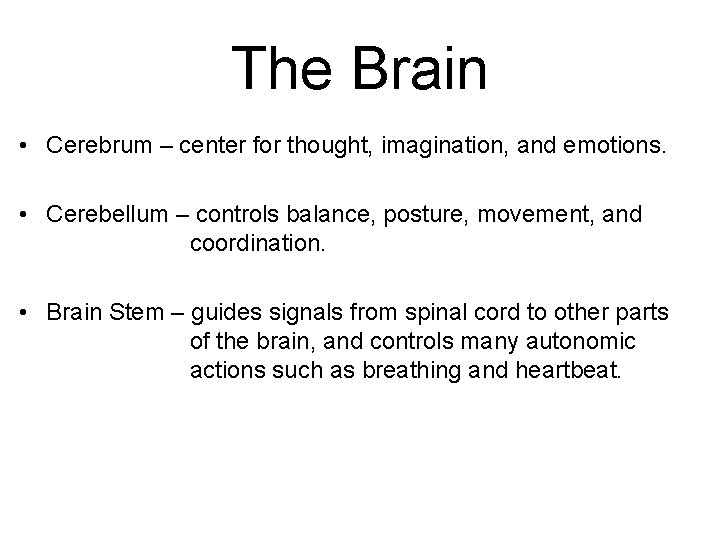 The Brain • Cerebrum – center for thought, imagination, and emotions. • Cerebellum –