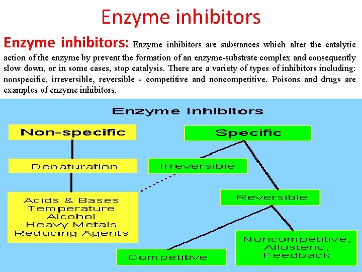 Enzyme inhibitors: Enzyme inhibitors are substances which alter the catalytic action of the enzyme