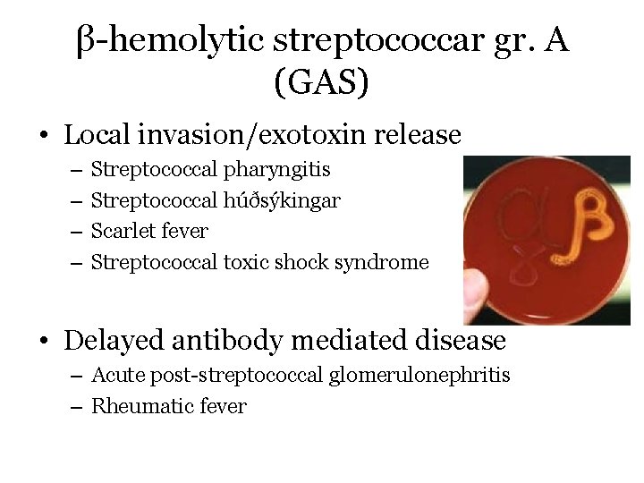 β-hemolytic streptococcar gr. A (GAS) • Local invasion/exotoxin release – – Streptococcal pharyngitis Streptococcal