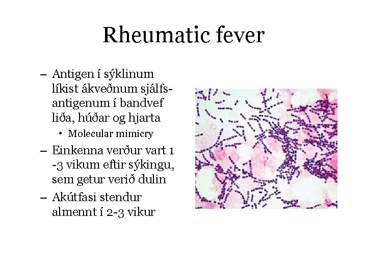 Rheumatic fever – Antigen í sýklinum líkist ákveðnum sjálfsantigenum í bandvef liða, húðar og