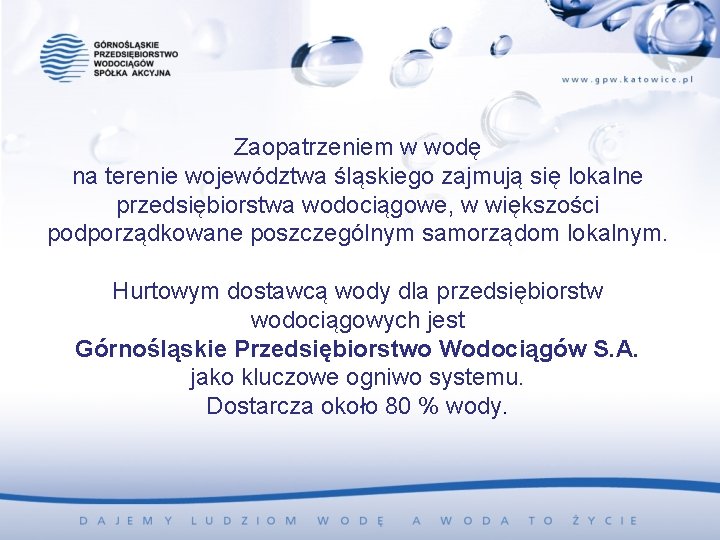 Zaopatrzeniem w wodę na terenie województwa śląskiego zajmują się lokalne przedsiębiorstwa wodociągowe, w większości