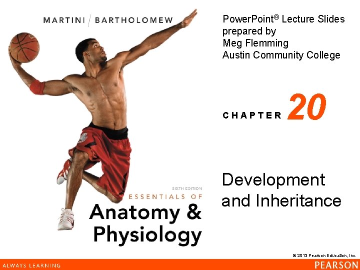 Power. Point® Lecture Slides prepared by Meg Flemming Austin Community College CHAPTER 20 Development