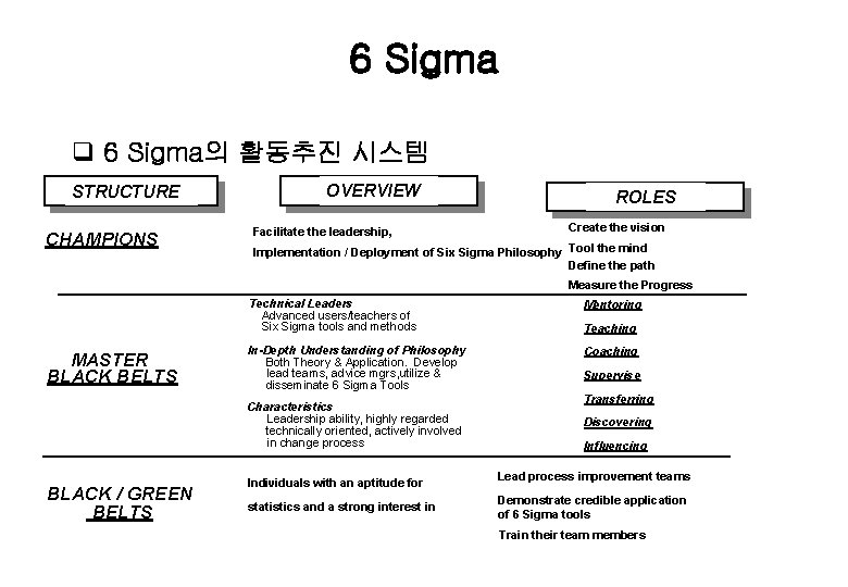 6 Sigma q 6 Sigma의 활동추진 시스템 STRUCTURE CHAMPIONS OVERVIEW Facilitate the leadership, ROLES