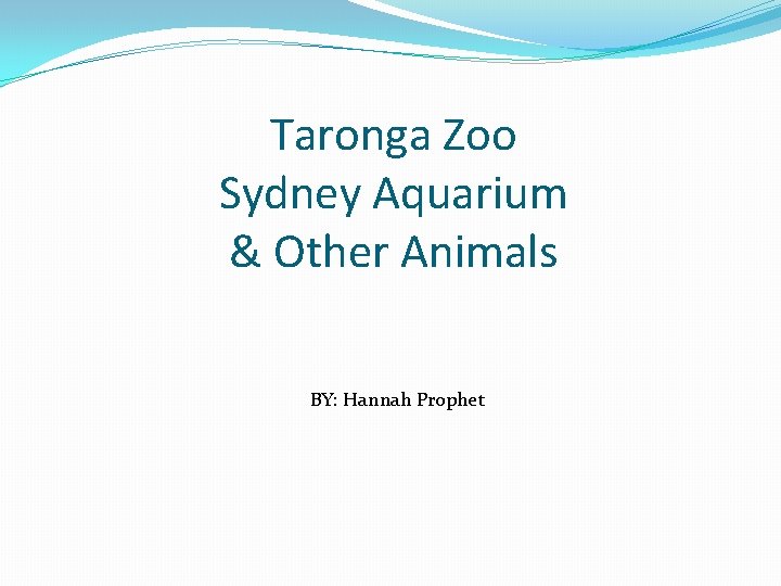 Taronga Zoo Sydney Aquarium & Other Animals BY: Hannah Prophet 