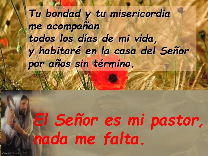 Tu bondad y tu misericordia me acompañan todos los días de mi vida, y Tu bondad y tu misericordia me acompañan todos los días de mi vida, y
