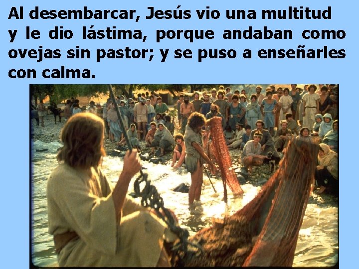 Al desembarcar, Jesús vio una multitud y le dio lástima, porque andaban como ovejas Al desembarcar, Jesús vio una multitud y le dio lástima, porque andaban como ovejas