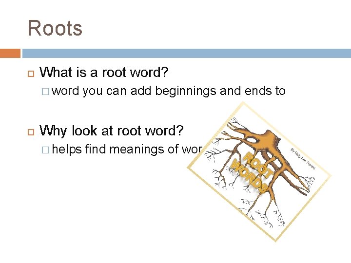 Roots What is a root word? � word you can add beginnings and ends