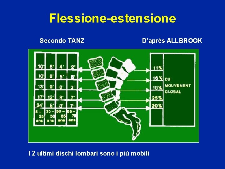 Flessione-estensione Secondo TANZ D’après ALLBROOK I 2 ultimi dischi lombari sono i più mobili