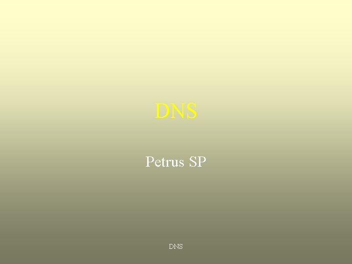 DNS Petrus SP DNS 