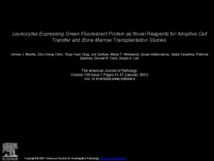 Leukocytes Expressing Green Fluorescent Protein as Novel Reagents for Adoptive Cell Transfer and Bone