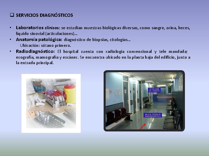 q SERVICIOS DIAGNÓSTICOS • Laboratorios clínicos: se estudian muestras biológicas diversas, como sangre, orina,