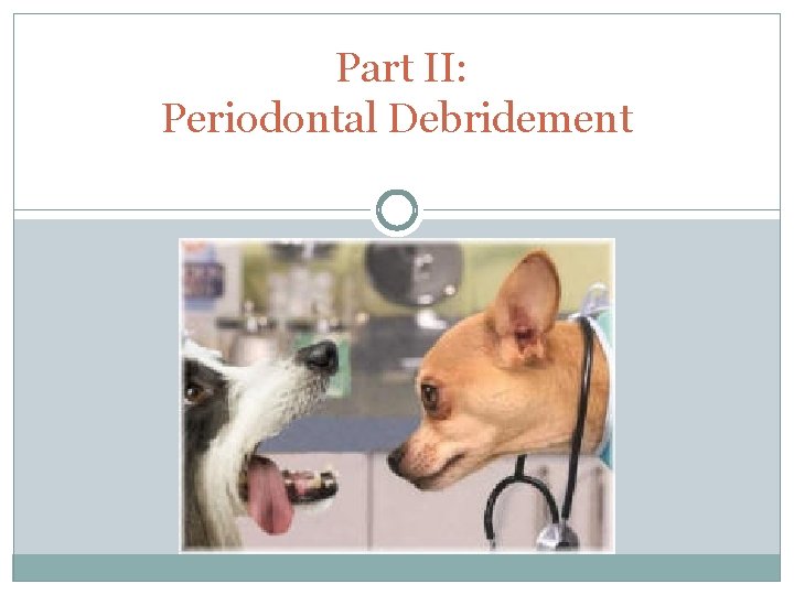 Part II: Periodontal Debridement 