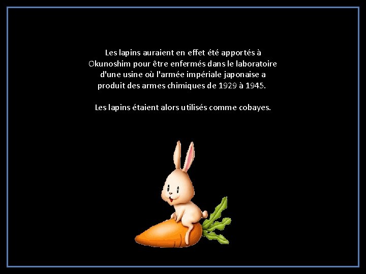 Les lapins auraient en effet été apportés à Okunoshim pour être enfermés dans le