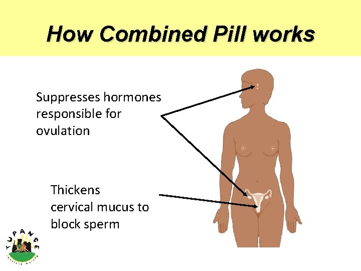 How Combined Pill works Suppresses hormones responsible for ovulation Thickens cervical mucus to block